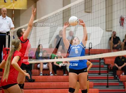 Thumbnail 1 in Dixie Hollins @ Clearwater photogallery.