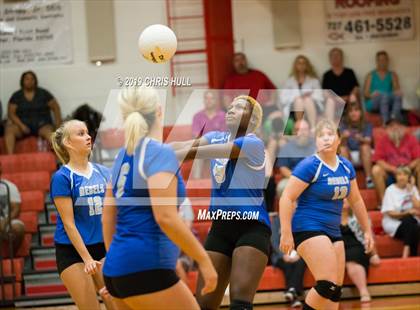 Thumbnail 2 in Dixie Hollins @ Clearwater photogallery.