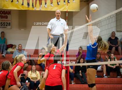 Thumbnail 2 in Dixie Hollins @ Clearwater photogallery.