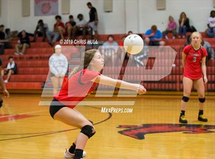 Thumbnail 3 in Dixie Hollins @ Clearwater photogallery.