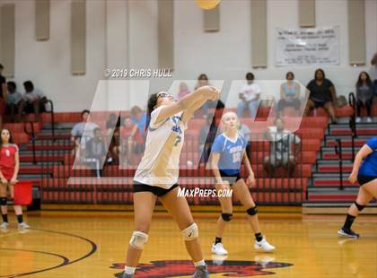 Thumbnail 3 in Dixie Hollins @ Clearwater photogallery.