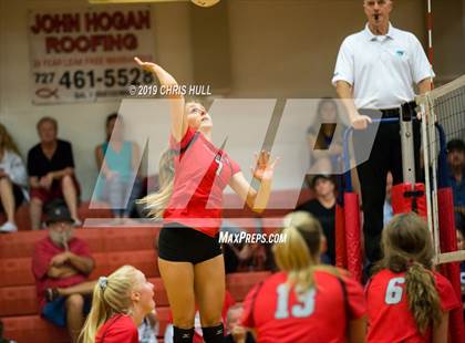 Thumbnail 1 in Dixie Hollins @ Clearwater photogallery.
