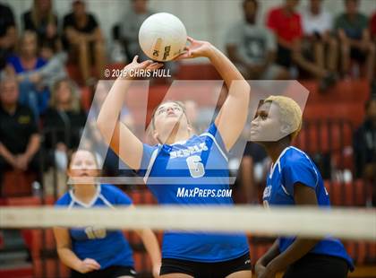 Thumbnail 2 in Dixie Hollins @ Clearwater photogallery.