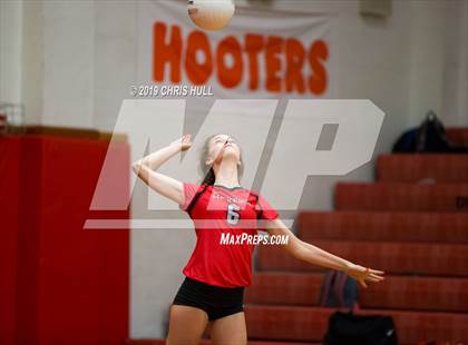 Thumbnail 3 in Dixie Hollins @ Clearwater photogallery.