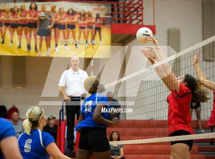 Thumbnail 1 in Dixie Hollins @ Clearwater photogallery.