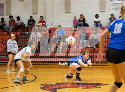 Thumbnail 3 in Dixie Hollins @ Clearwater photogallery.