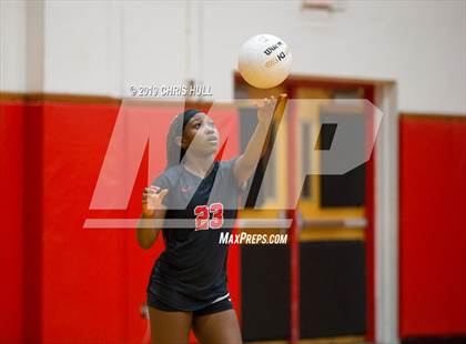 Thumbnail 1 in Dixie Hollins @ Clearwater photogallery.