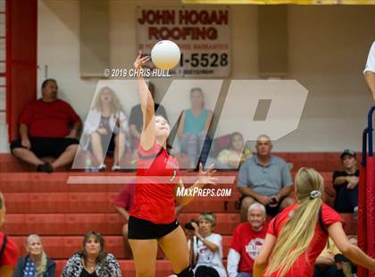 Thumbnail 3 in Dixie Hollins @ Clearwater photogallery.