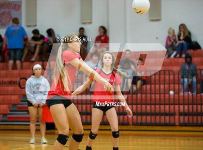 Thumbnail 1 in Dixie Hollins @ Clearwater photogallery.