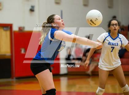 Thumbnail 3 in Dixie Hollins @ Clearwater photogallery.