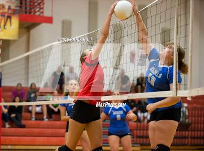 Thumbnail 2 in Dixie Hollins @ Clearwater photogallery.