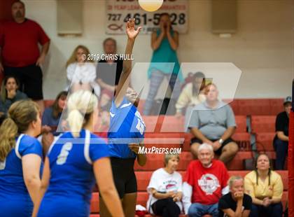 Thumbnail 2 in Dixie Hollins @ Clearwater photogallery.