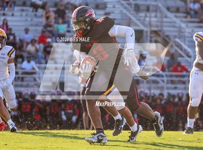 Thumbnail 3 in DeSoto Central @ Center Hill photogallery.