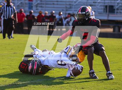 Thumbnail 3 in DeSoto Central @ Center Hill photogallery.