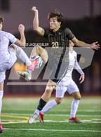 Photo from the gallery "Notre Dame (SO) @ Crespi"