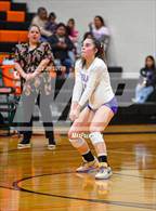 Photo from the gallery "Shiner vs Thrall (UIL 2A Region IV Area Playoff)"