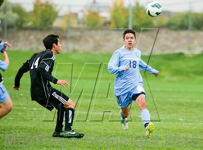 Thumbnail 1 in Pomona @ Ralston Valley photogallery.