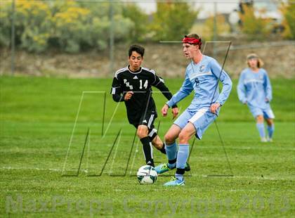 Thumbnail 3 in Pomona @ Ralston Valley photogallery.