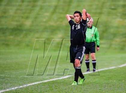 Thumbnail 3 in Pomona @ Ralston Valley photogallery.
