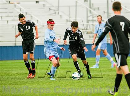 Thumbnail 3 in Pomona @ Ralston Valley photogallery.