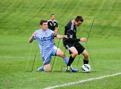 Thumbnail 3 in Pomona @ Ralston Valley photogallery.