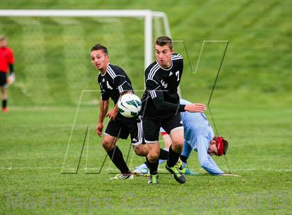 Thumbnail 3 in Pomona @ Ralston Valley photogallery.