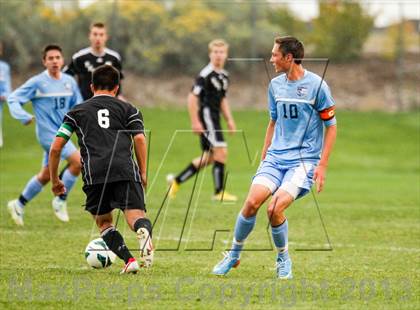 Thumbnail 1 in Pomona @ Ralston Valley photogallery.