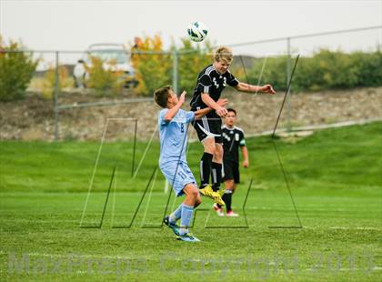 Thumbnail 1 in Pomona @ Ralston Valley photogallery.