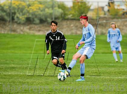 Thumbnail 1 in Pomona @ Ralston Valley photogallery.