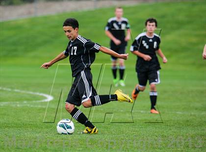 Thumbnail 3 in Pomona @ Ralston Valley photogallery.