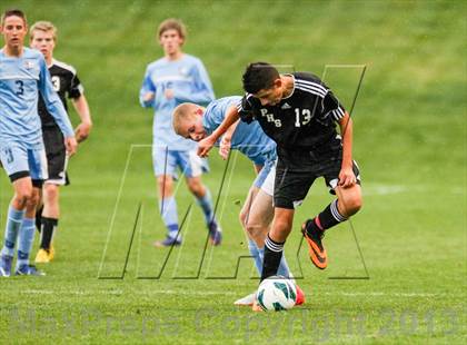 Thumbnail 3 in Pomona @ Ralston Valley photogallery.