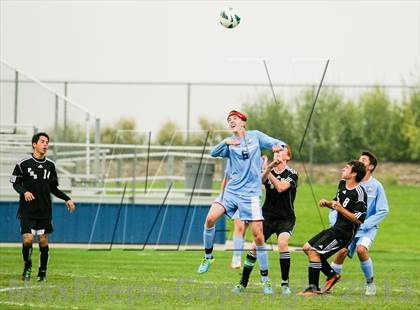 Thumbnail 2 in Pomona @ Ralston Valley photogallery.