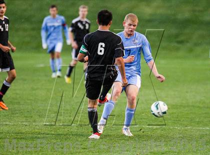 Thumbnail 1 in Pomona @ Ralston Valley photogallery.