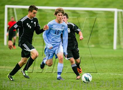 Thumbnail 2 in Pomona @ Ralston Valley photogallery.