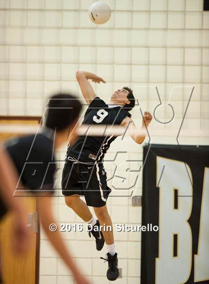 Thumbnail 2 in Mountain Ridge @ Basha photogallery.