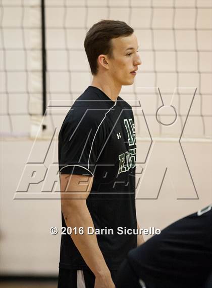 Thumbnail 1 in Mountain Ridge @ Basha photogallery.