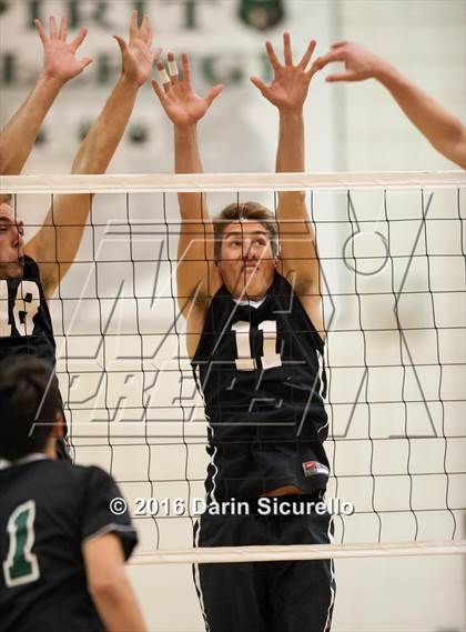 Thumbnail 1 in Mountain Ridge @ Basha photogallery.