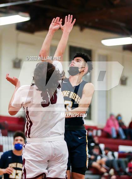 Thumbnail 1 in Pine Bush @ Kingston photogallery.
