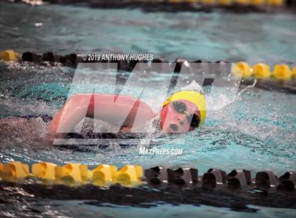 Thumbnail 2 in Bethpage vs. Great Neck North photogallery.