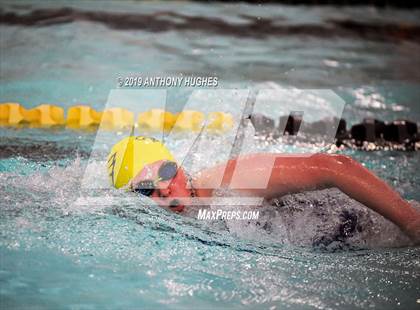 Thumbnail 3 in Bethpage vs. Great Neck North photogallery.
