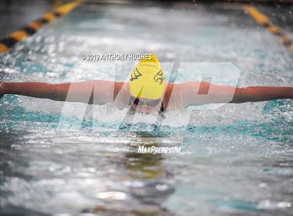 Thumbnail 3 in Bethpage vs. Great Neck North photogallery.