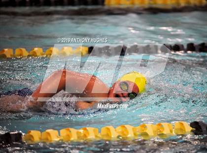 Thumbnail 1 in Bethpage vs. Great Neck North photogallery.
