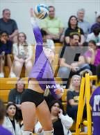 Photo from the gallery "Bloomfield Hills @ Adams"