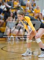 Photo from the gallery "Bloomfield Hills @ Adams"