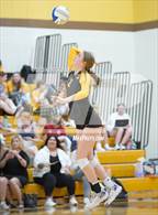 Photo from the gallery "Bloomfield Hills @ Adams"