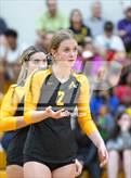 Photo from the gallery "Bloomfield Hills @ Adams"