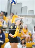 Photo from the gallery "Bloomfield Hills @ Adams"