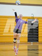 Photo from the gallery "Bloomfield Hills @ Adams"