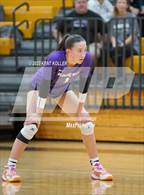 Photo from the gallery "Bloomfield Hills @ Adams"