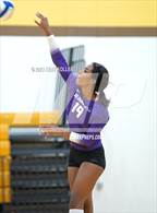 Photo from the gallery "Bloomfield Hills @ Adams"
